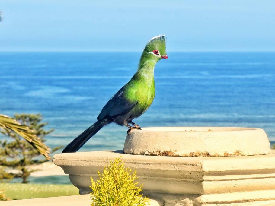 Livingstone Villa Wildernis Exterior foto